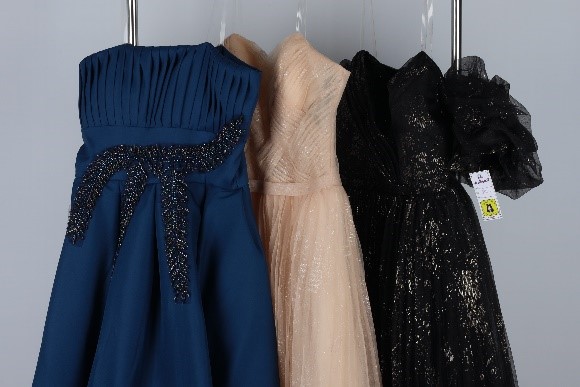 Dina Abdel Fattah Mohamed Haboush