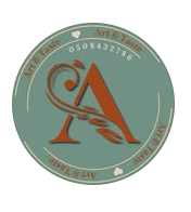 فن وذووق