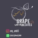 ورق عنب الياسمين